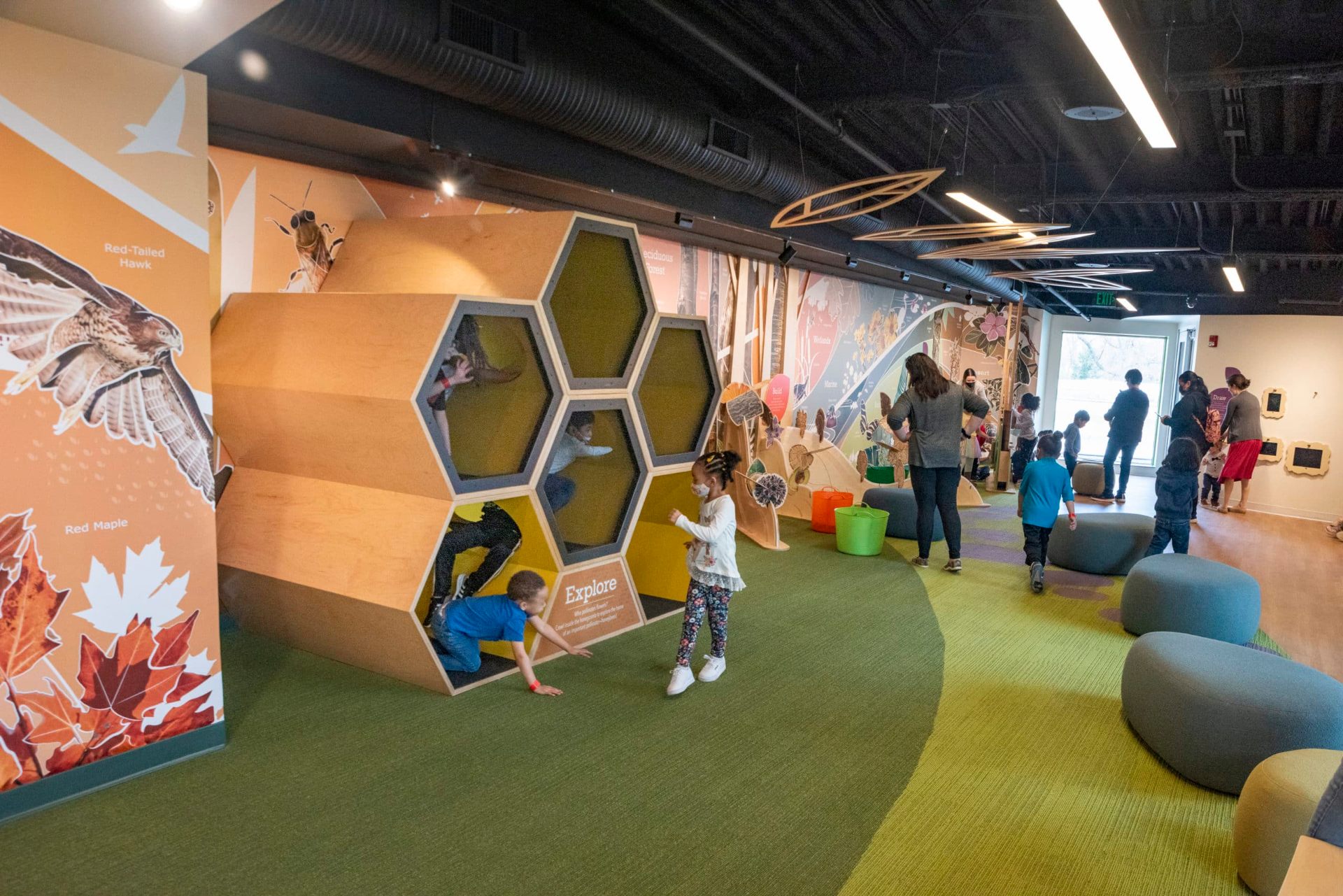Toddlers exploring a honeycomb crawl exhibit in a nature-themed room